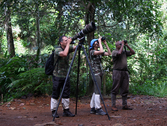 Bird watching and photographing in Sinharaja Sri Lanka Sri Lanka - Sheau Torng Lim and Carine Nah with Hetti