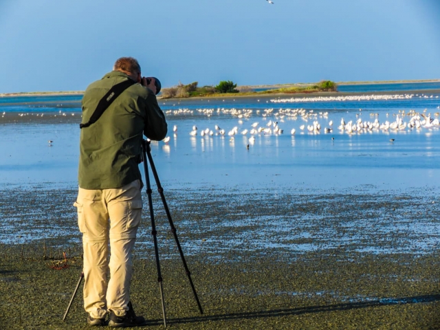 Bird watching in Mannar Lagoon - Linda Lennon and Clive Duncan  tour